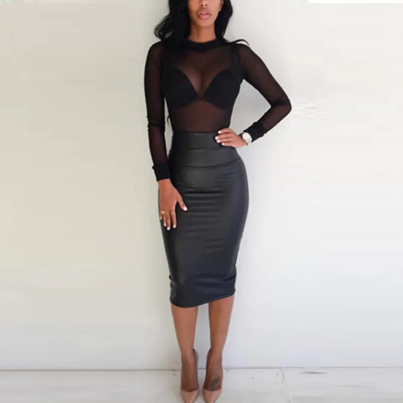 Sheer Mesh Turtleneck