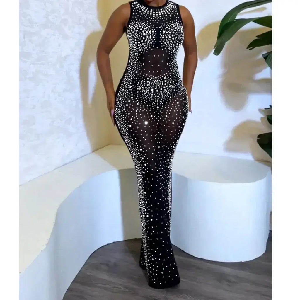 Luminous Mesh Maxi Dress